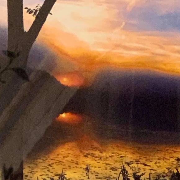 Meet your Posher, Jessie Caia - Picture 4 of 4